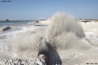 March 2, 2013 - Gulf State Park