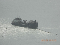 January 15, 2013 - Dredge Bayport at pumpoff.